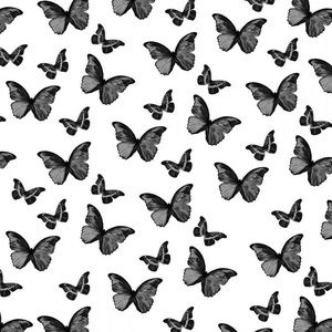 Meet your Posher, Kaydence